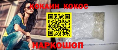 шишки Новодвинск