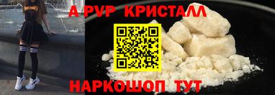 шишки Новодвинск