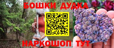 прущие грибы Новозыбков