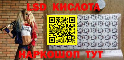 шишки Новодвинск
