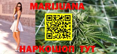 прущие грибы Новозыбков