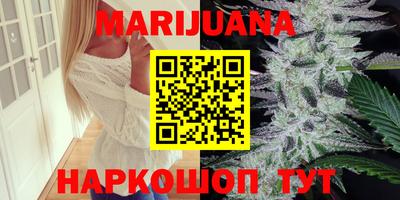 шишки Новодвинск