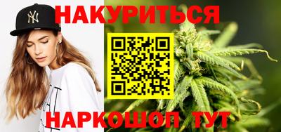 прущие грибы Новозыбков