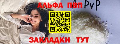 шишки Новодвинск