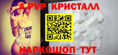 шишки Новодвинск