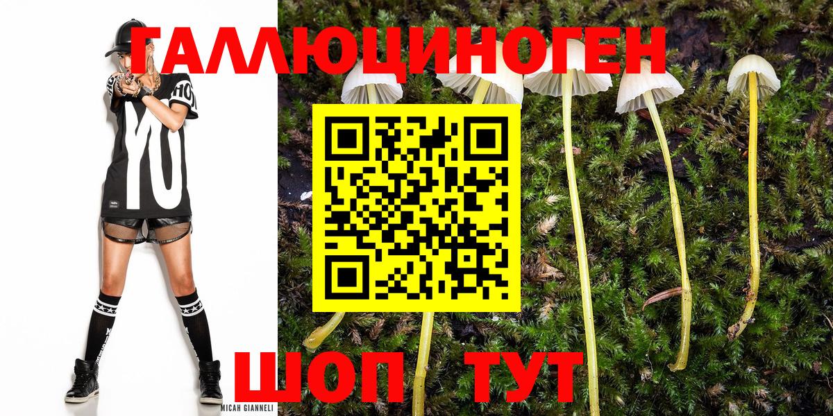 Белово  Галлюциногенные грибы ЛСД  Вход с VPN 
